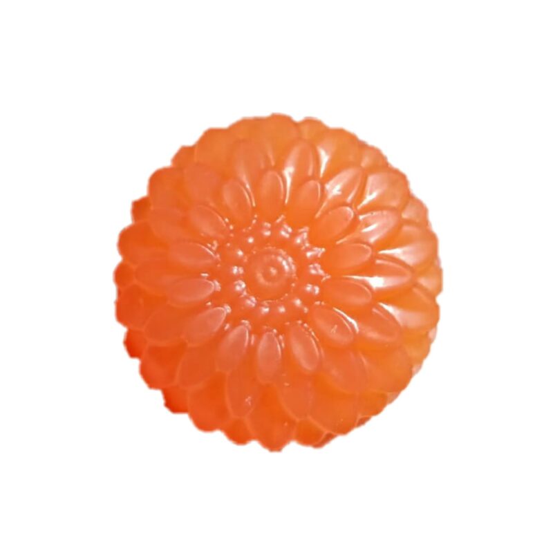 Sattvicstore